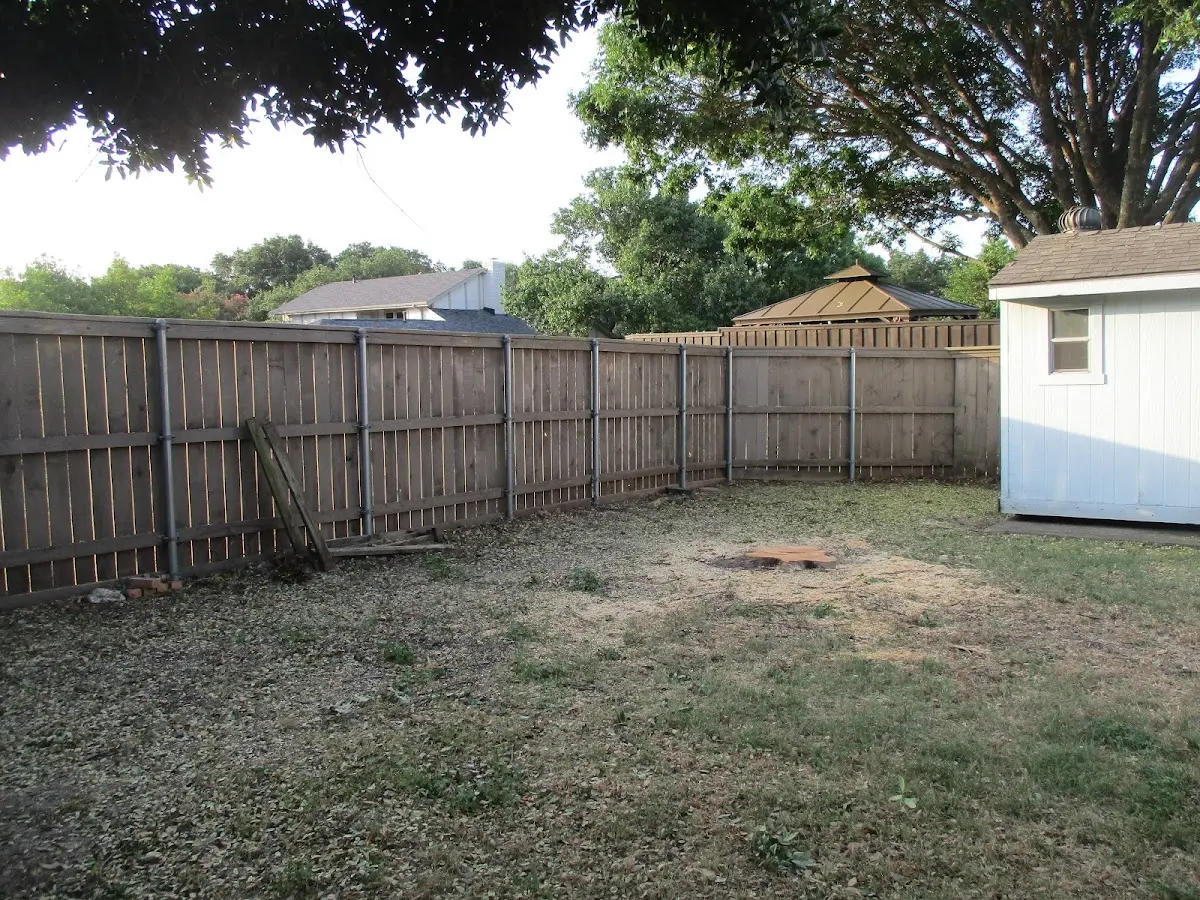 Cleared yard after professional tree removal in Lithonia